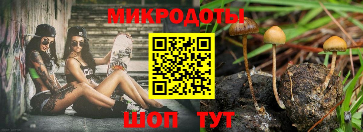 Галлюциногенные грибы Psilocybine cubensis Можга